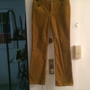 JCrew Corduroy Pants